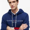 Broderte Tommy-logo Colorblock-hettegenser