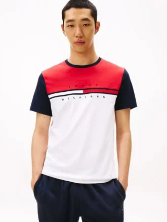 Colorblock Flag Stripe Logo T-skjorte