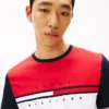 Colorblock Flag Stripe Logo T-skjorte