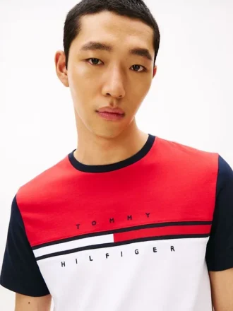 Colorblock Flag Stripe Logo T-skjorte