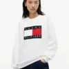 Flag Logo-genser