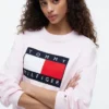 Flag Logo-genser