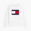 Flag Logo-genser