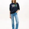 Flerfarget Varsity Tommy Logo-genser