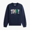 Flerfarget Varsity Tommy Logo-genser