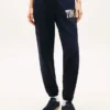 Flerfarget Varsity Tommy Logo-joggebukse