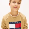 Raglan-genser med Tommy Flag-logo for barn