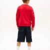Raglan-genser med Tommy Flag-logo for barn