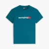 Tommy Jeans Logo T-skjorte