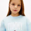 Tommy-logo-genser for barn