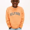 Varsity-logo-genser for barn Varsity-logo-genser for barn