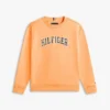 Varsity-logo-genser for barn Varsity-logo-genser for barn